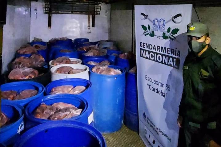 Gendarmería decomisó 5 millones de pesos en carne ilegal 